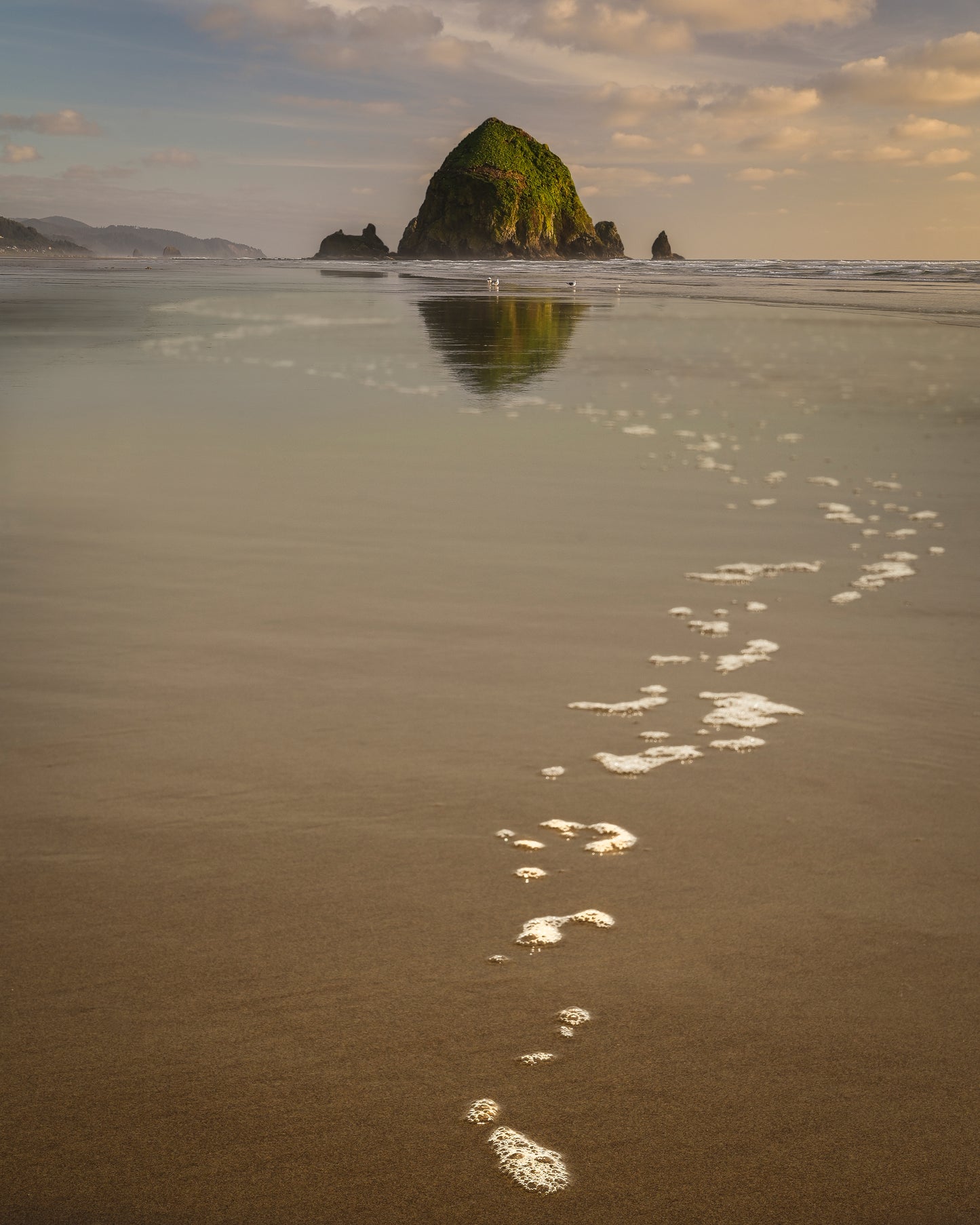 Beach Walks - Luxury Refillable Ceramic Candle