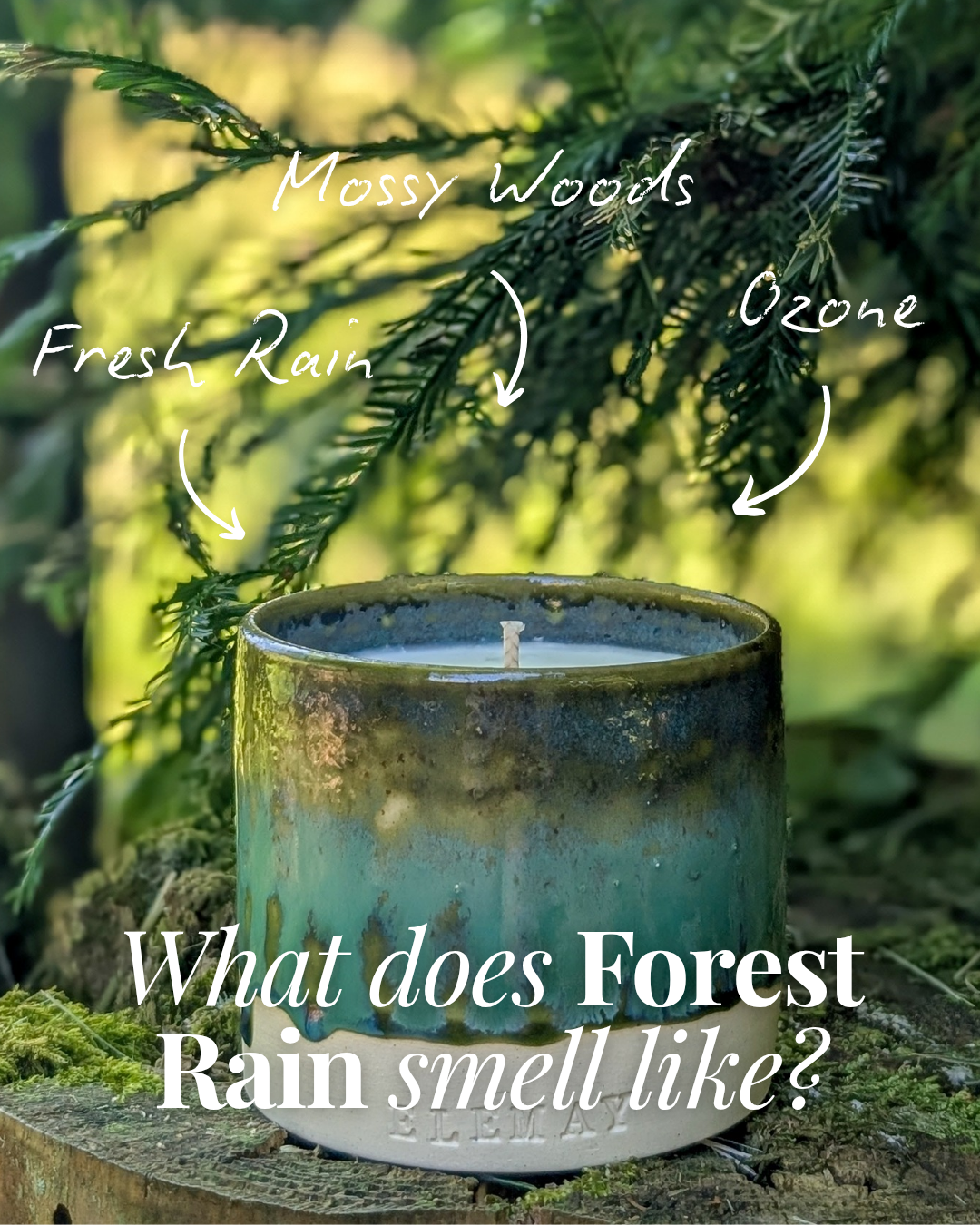 Forest Rain - Luxury Refillable Ceramic Candle