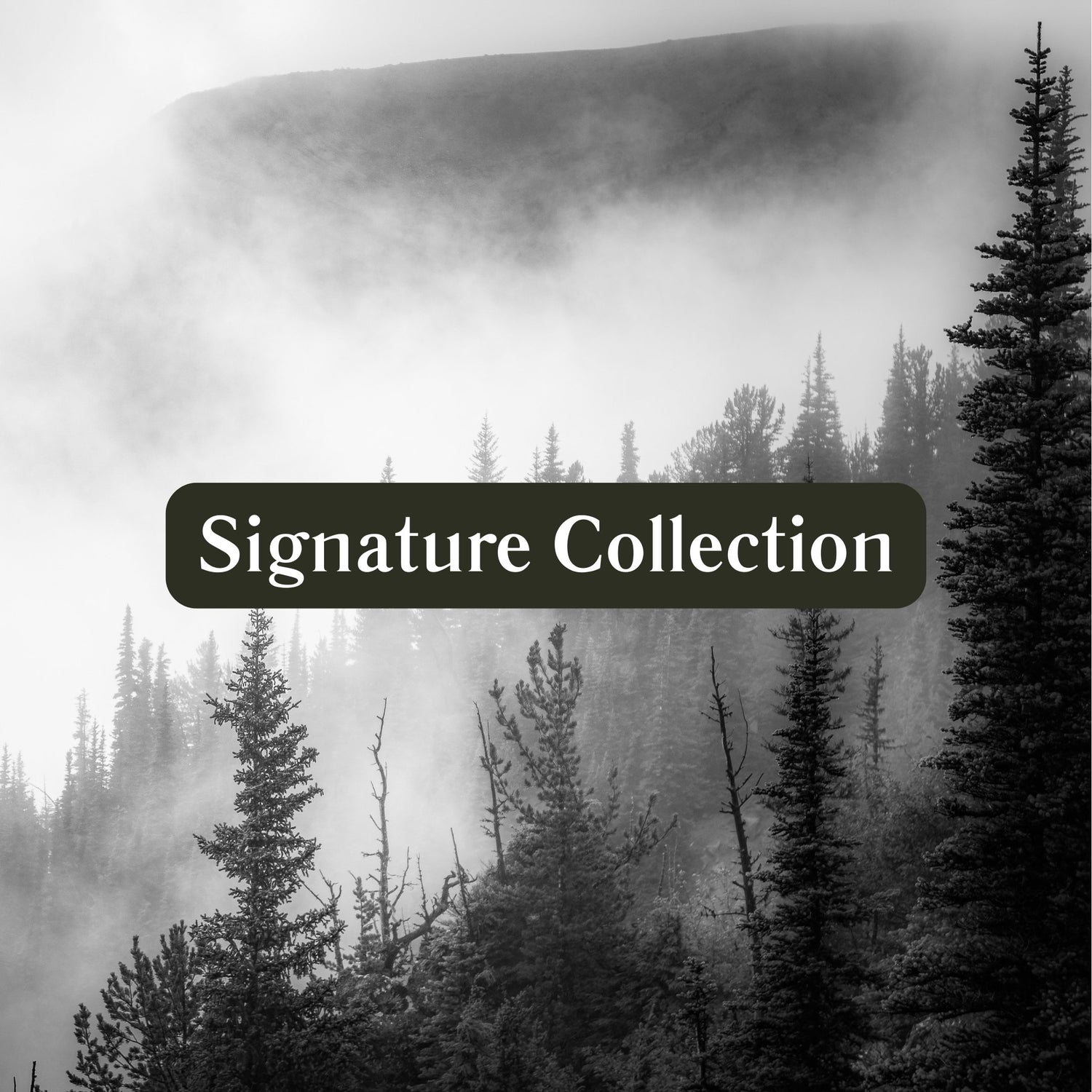 Signature Collection