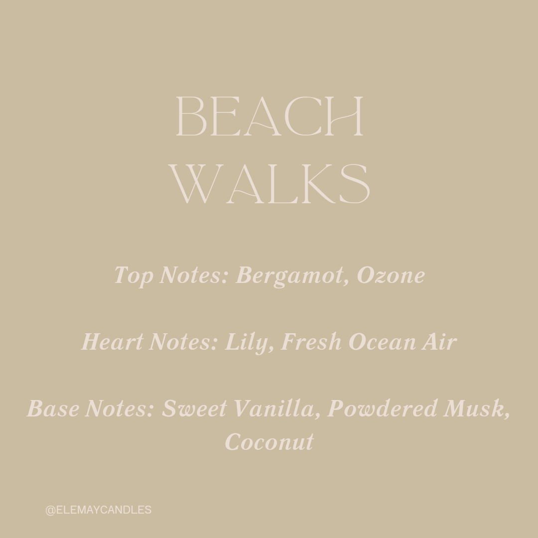 Beach Walks Wax Melt - Pack of 6