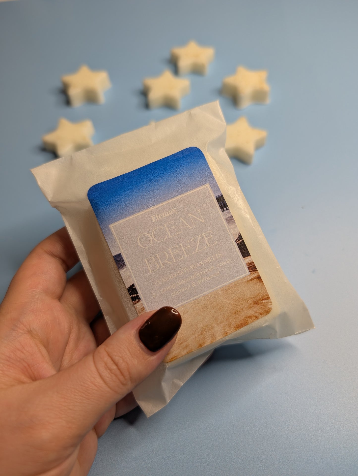 Ocean Breeze Wax Melt Snap Bar